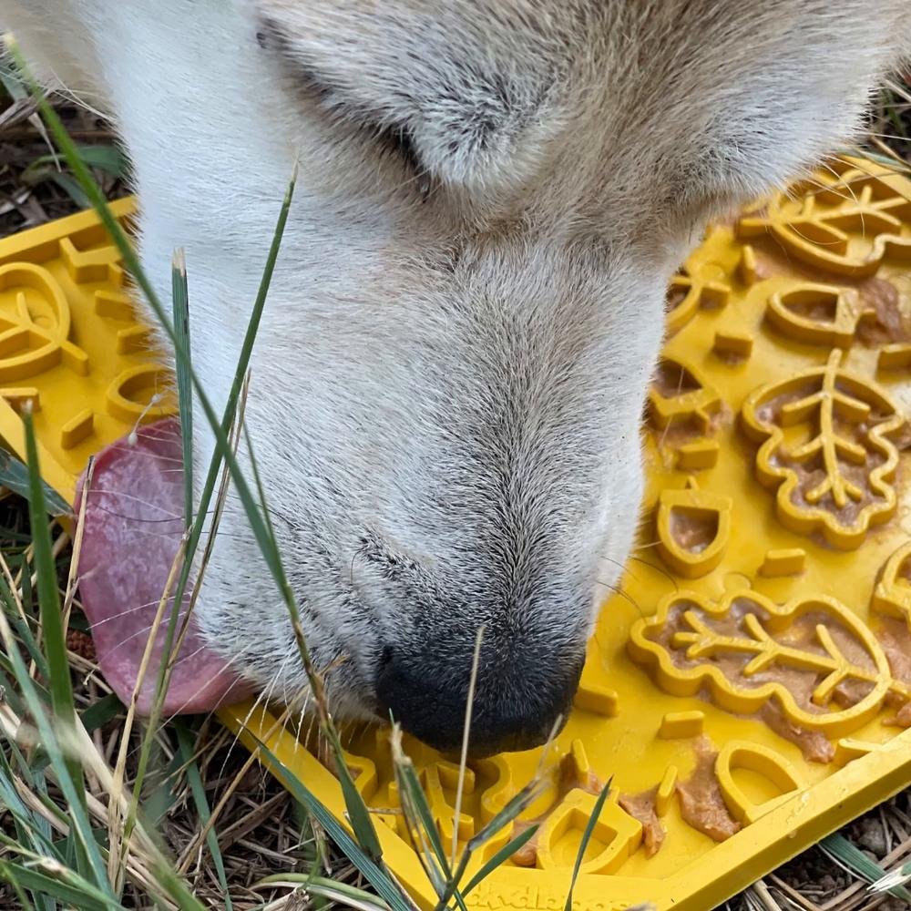 Close-up of a dog licking treats from the leaf pattern of a SodaPup Autumn eMat outdoors