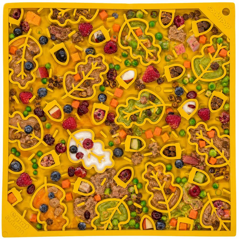 A SodaPup Autumn eMat spread with soft food, fruit and vegetables in its leaf and acorn grooves