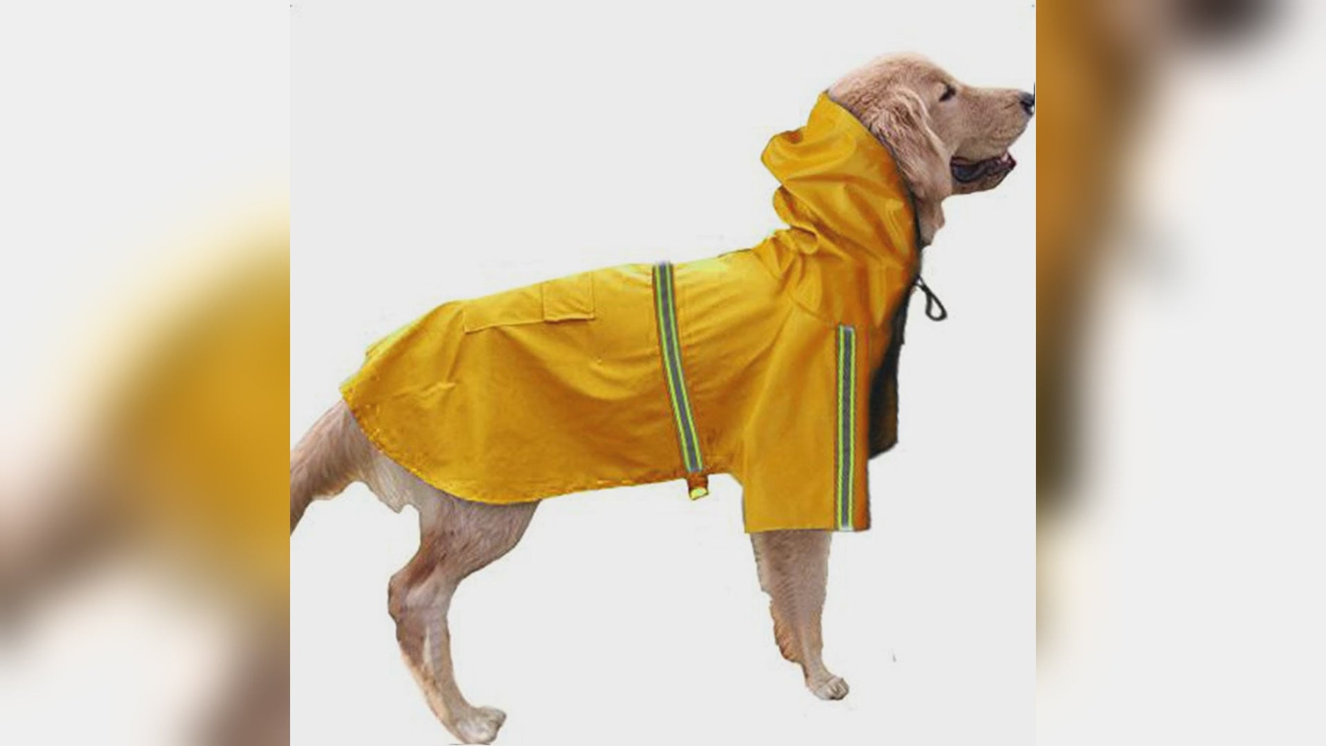 Waterproof Reflective Dog Rain Cape in yellow, orange, blue and pink
