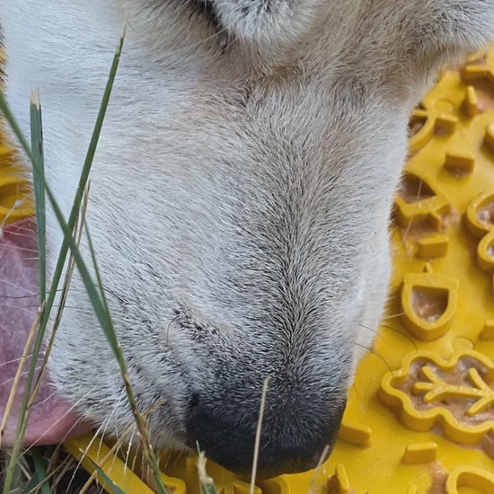 Dog licking a SodaPup Autumn eMat enrichment lick mat