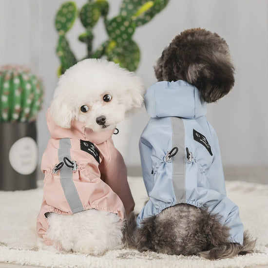 Dog wearing full-coverage hooded waterproof raincoat