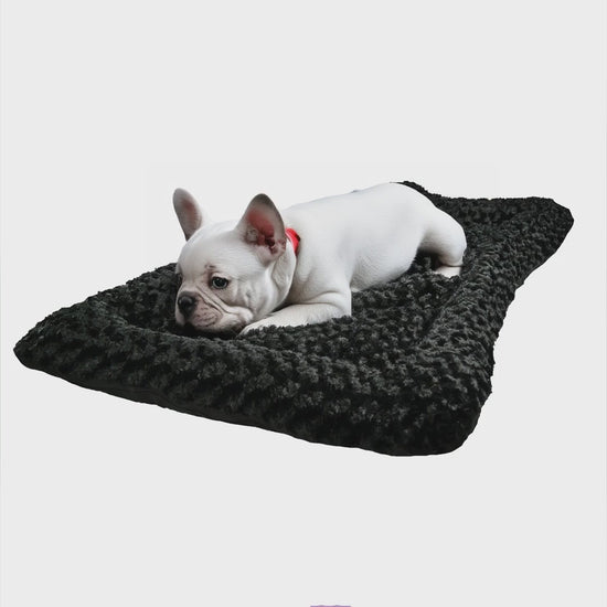 A dog resting on an American Dog Furvana Cloud bolstered bed