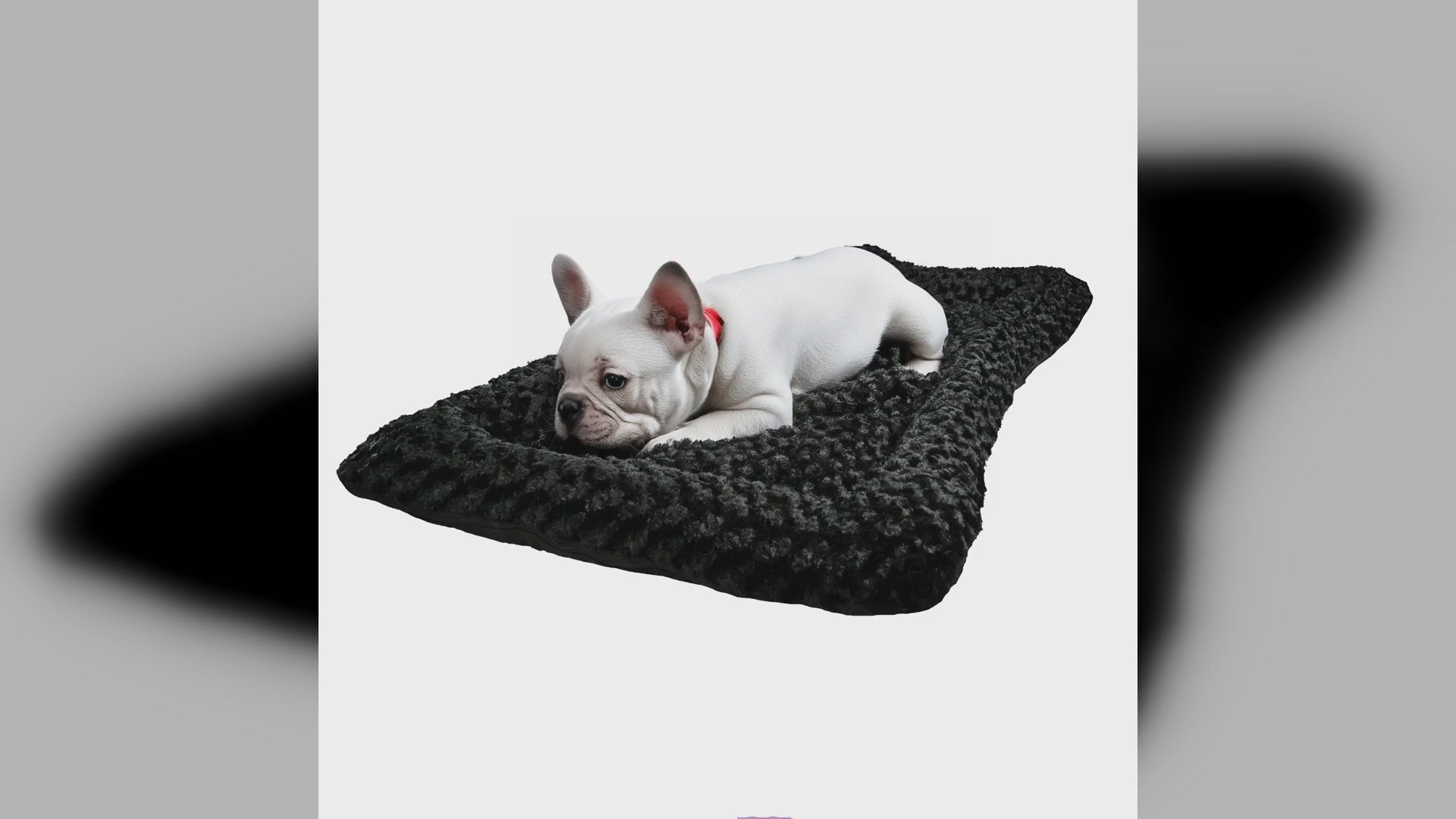 A dog resting on an American Dog Furvana Cloud bolstered bed