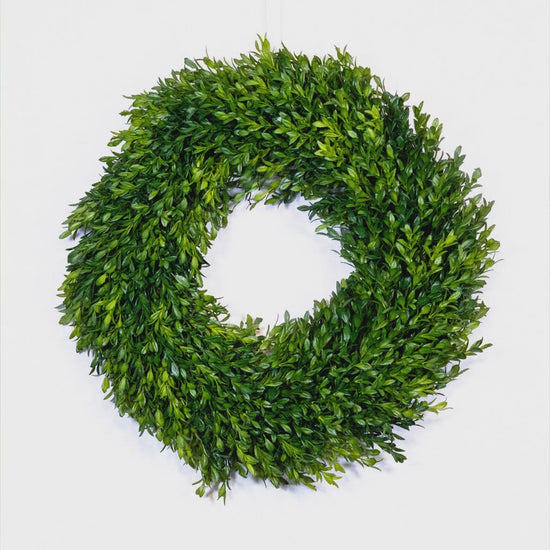 Branches Designs 18 inch faux boxwood wreath