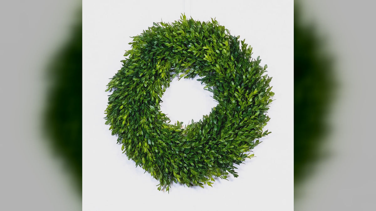 Branches Designs 18 inch faux boxwood wreath