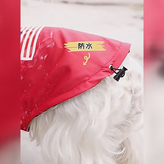 The Dog Face Pet Raincoat
