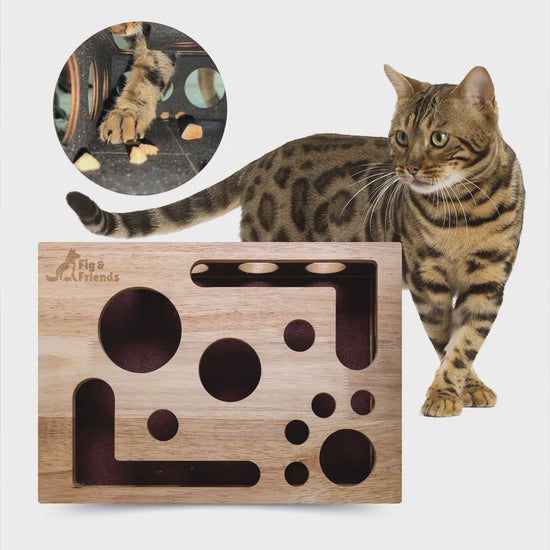 Fig & Friends Cat Nail File Enrichment Box